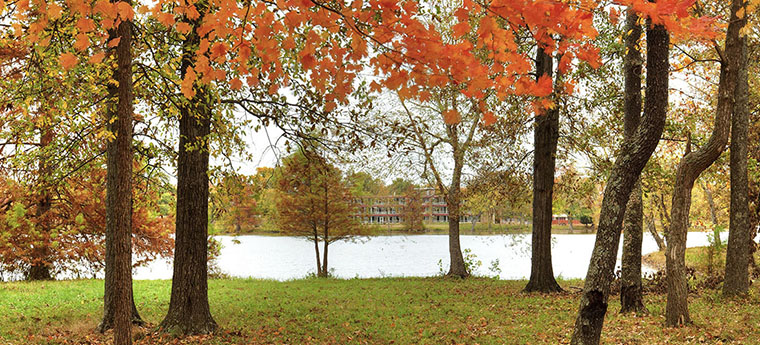 Campus Lake Picture